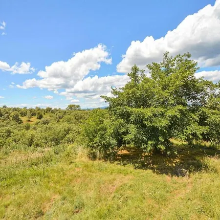 Spacious With Private Pool * Saint-Maximin (Gard)